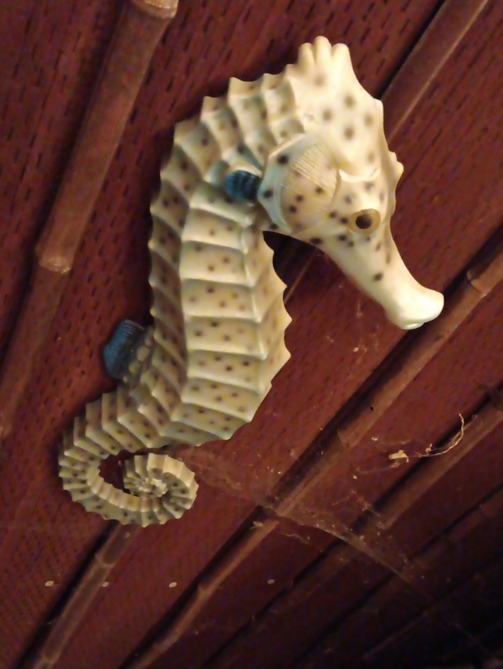 Seahorse Wall Accent in Speckled Cream and Blue resin plastic